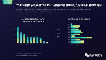 國(guó)雙數(shù)據(jù)中心2017年互聯(lián)網(wǎng)發(fā)展報(bào)告 互聯(lián)網(wǎng)數(shù)據(jù)服務(wù)的變革與未來